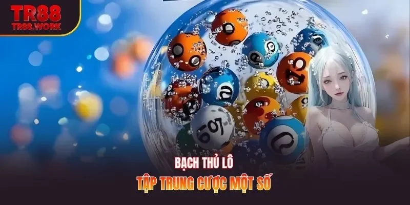 Bạch thủ lô tập trung cược một số 