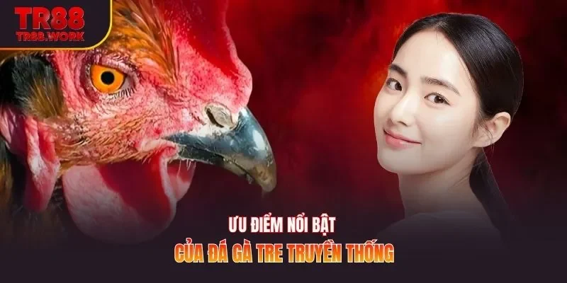 Ưu điểm nổi bật của đá gà tre truyền thống